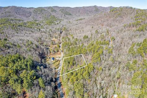 Tbd Frozen Creek Brevard NC 28712