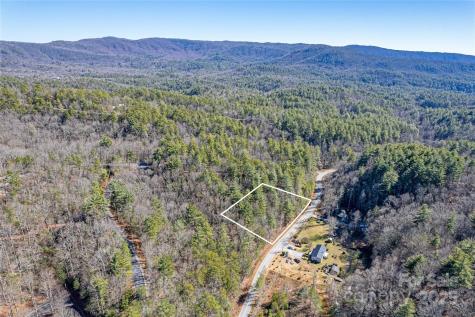 Tbd Frozen Creek Brevard NC 28712