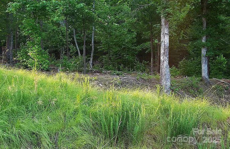 V/l Ridge Point Road Nebo NC 28761