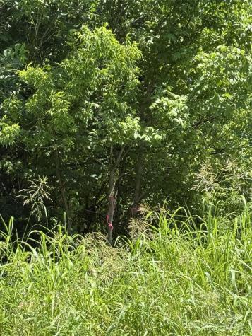 Lot 4 And 5 W Elliot Street Chester SC 29706