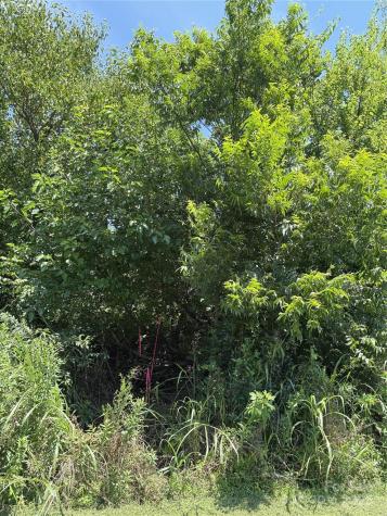 Lot 4 And 5 W Elliot Street Chester SC 29706