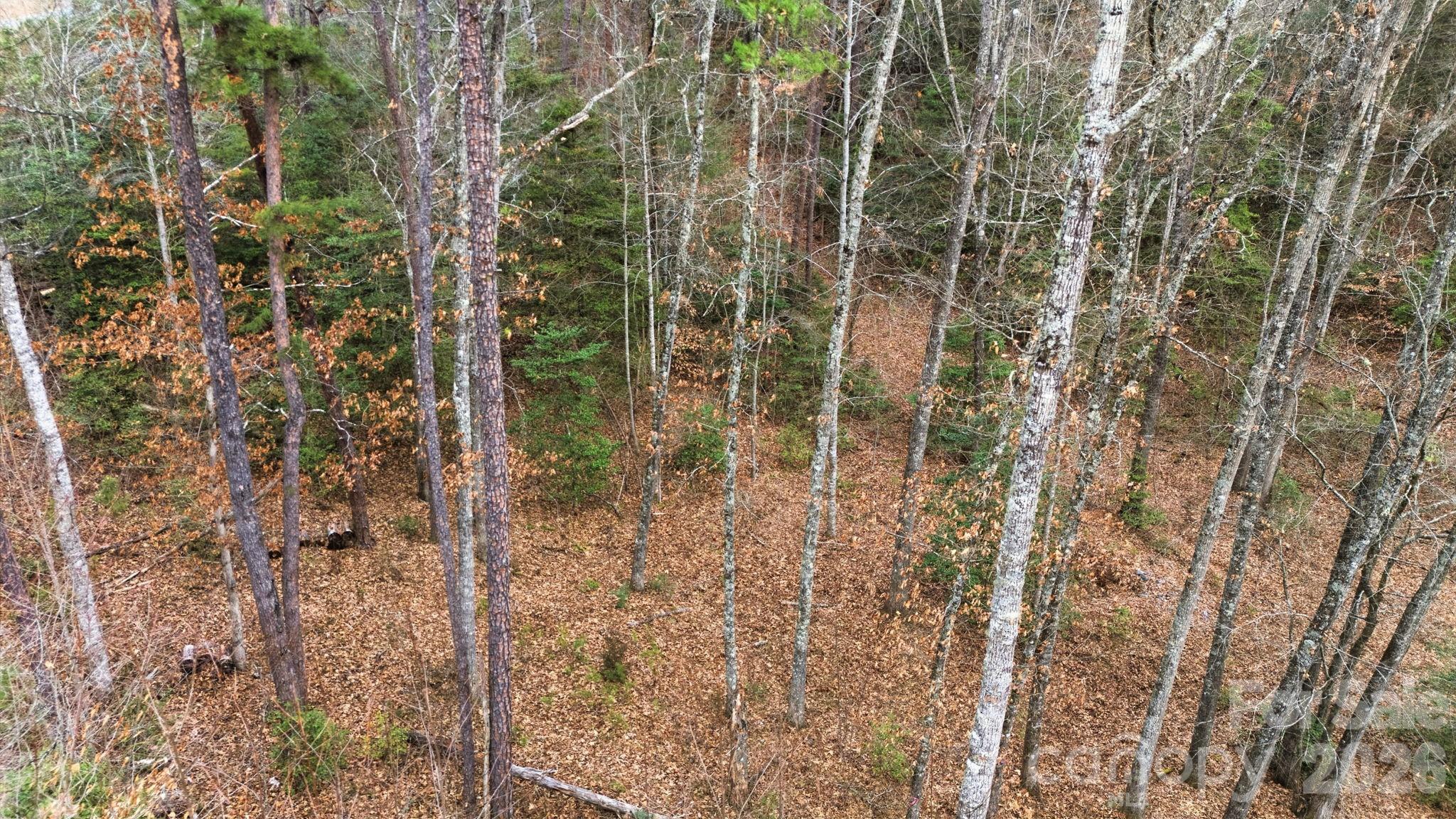 22 River Club Drive Cullowhee NC 28723