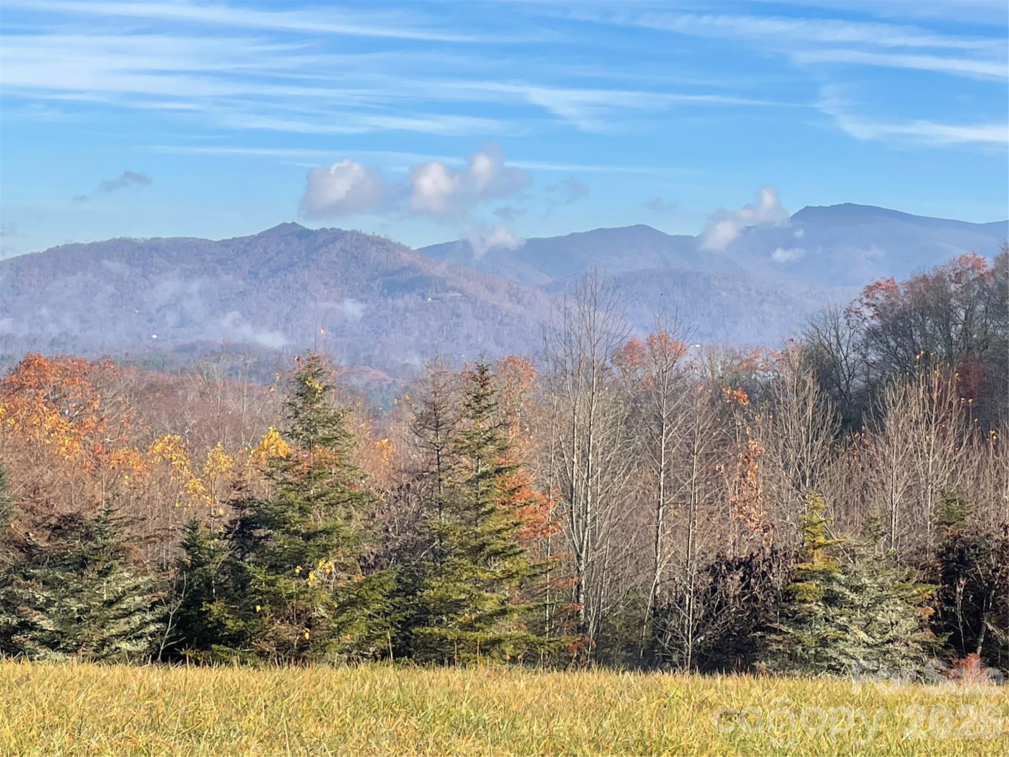 999 Chestnut Mountain Drive Green Mountain NC 28740