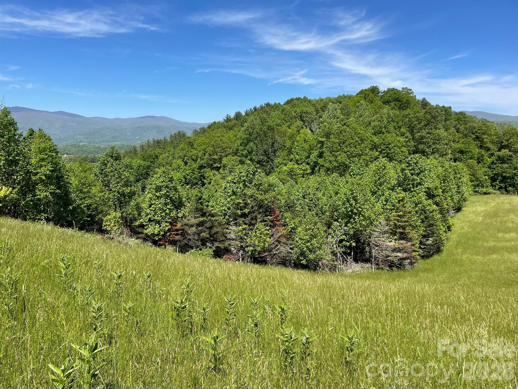 999 Chestnut Mountain Drive Green Mountain NC 28740