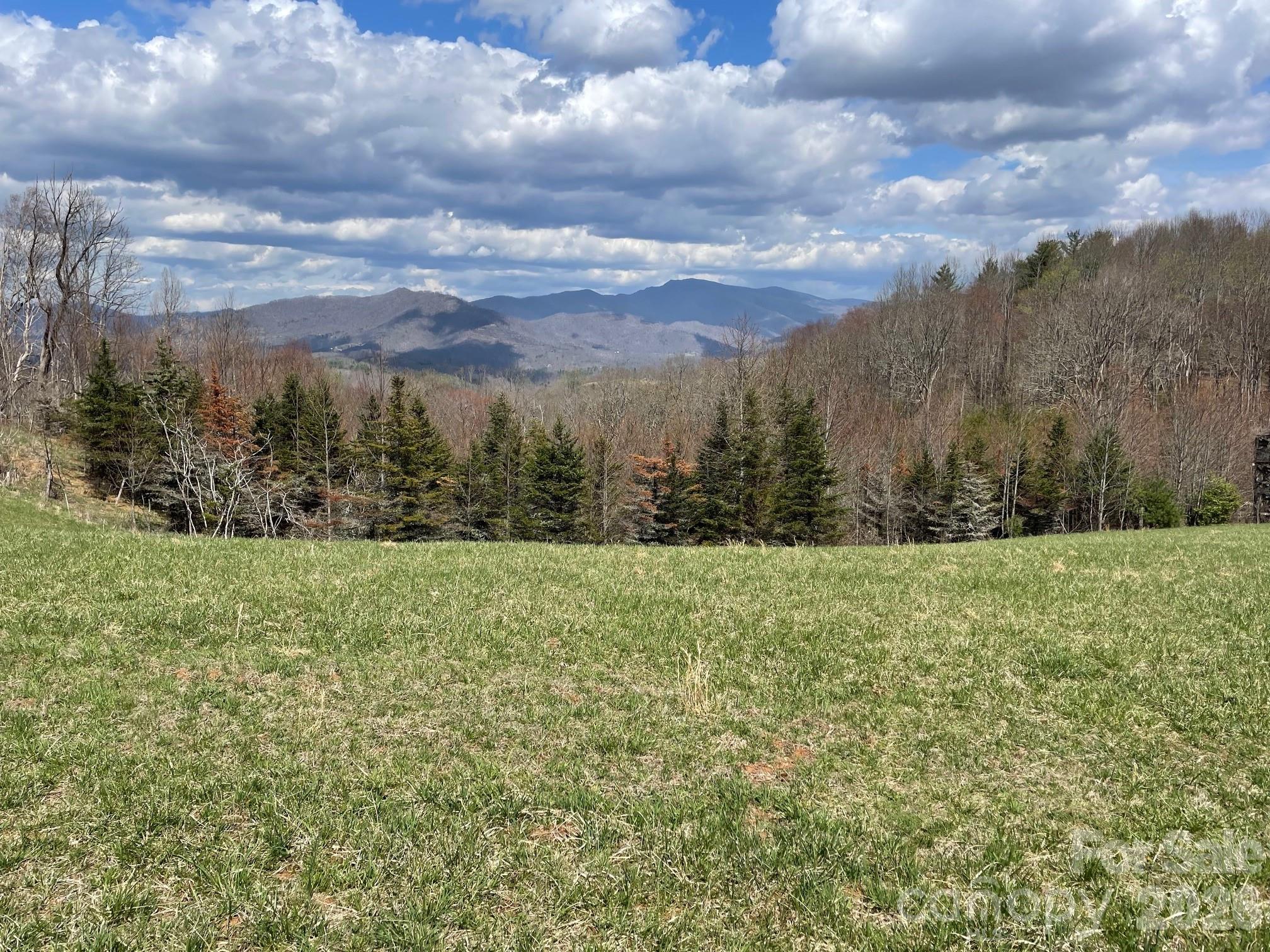 999 Chestnut Mountain Drive Green Mountain NC 28740