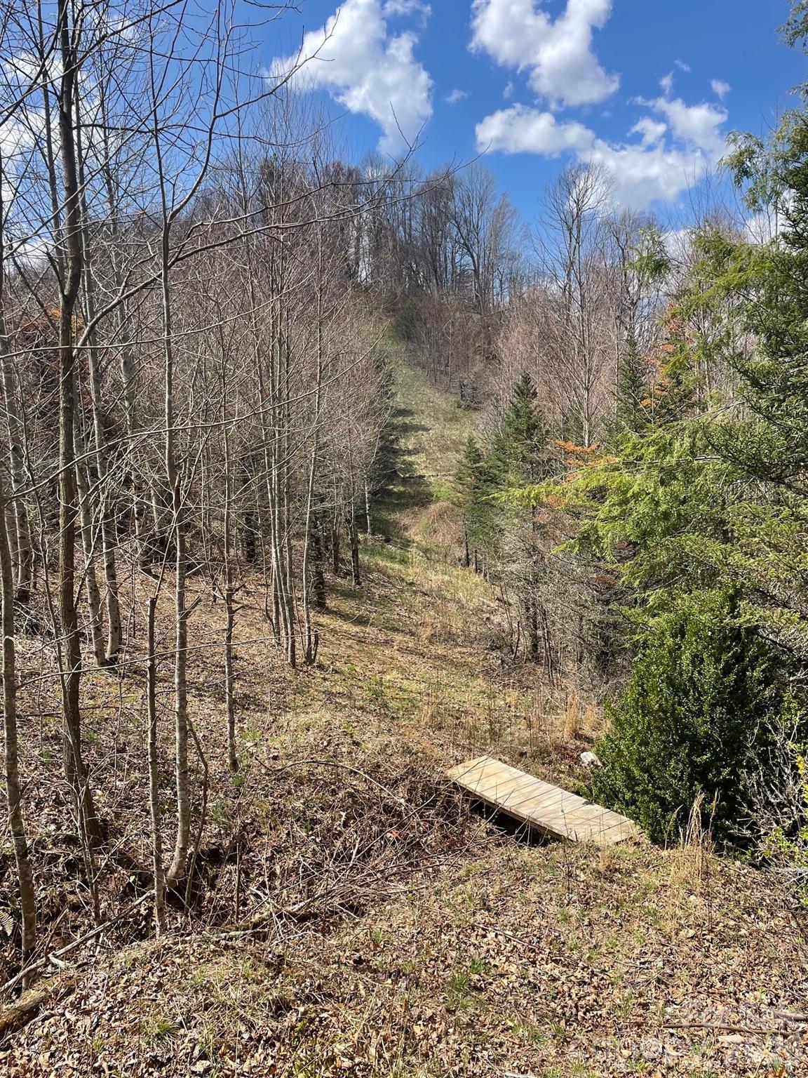 999 Chestnut Mountain Drive Green Mountain NC 28740