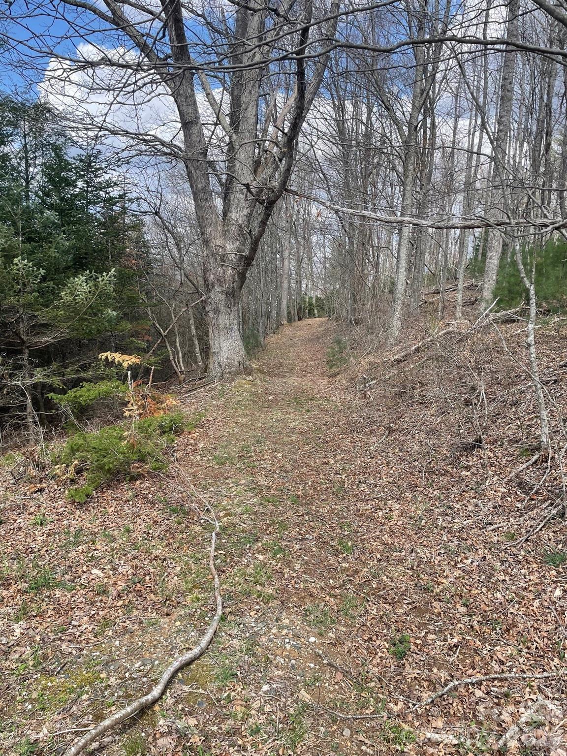 999 Chestnut Mountain Drive Green Mountain NC 28740