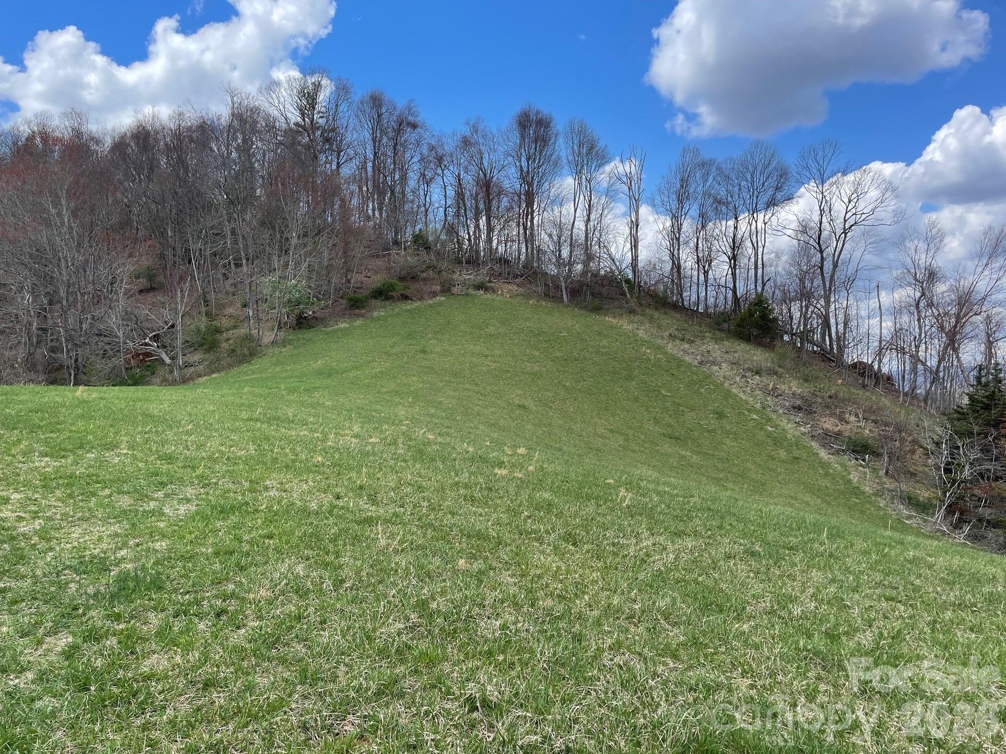 999 Chestnut Mountain Drive Green Mountain NC 28740