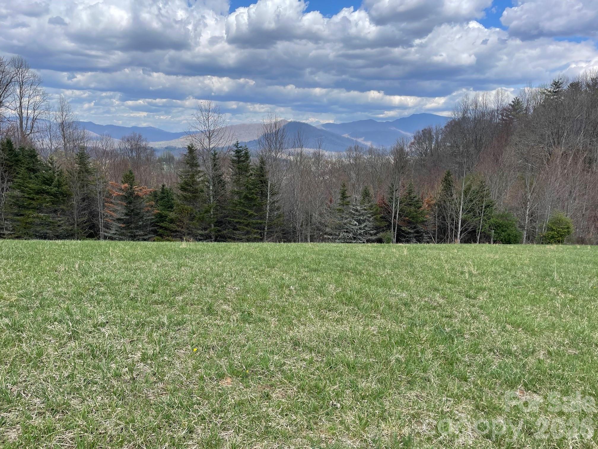 999 Chestnut Mountain Drive Green Mountain NC 28740