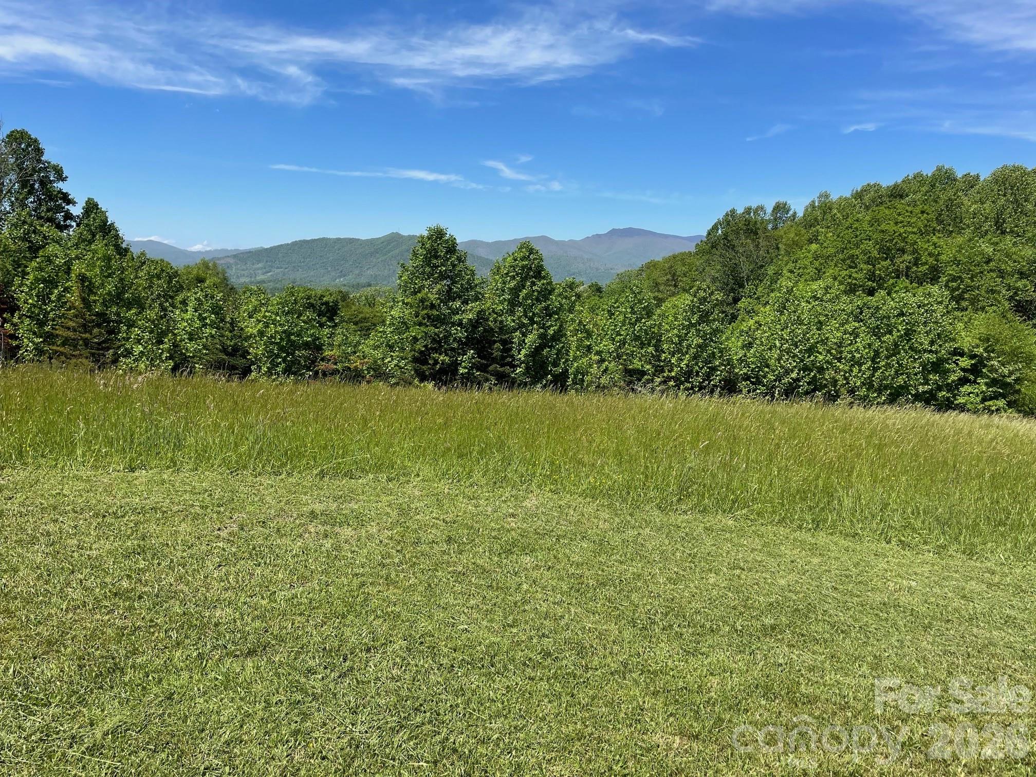 999 Chestnut Mountain Drive Green Mountain NC 28740