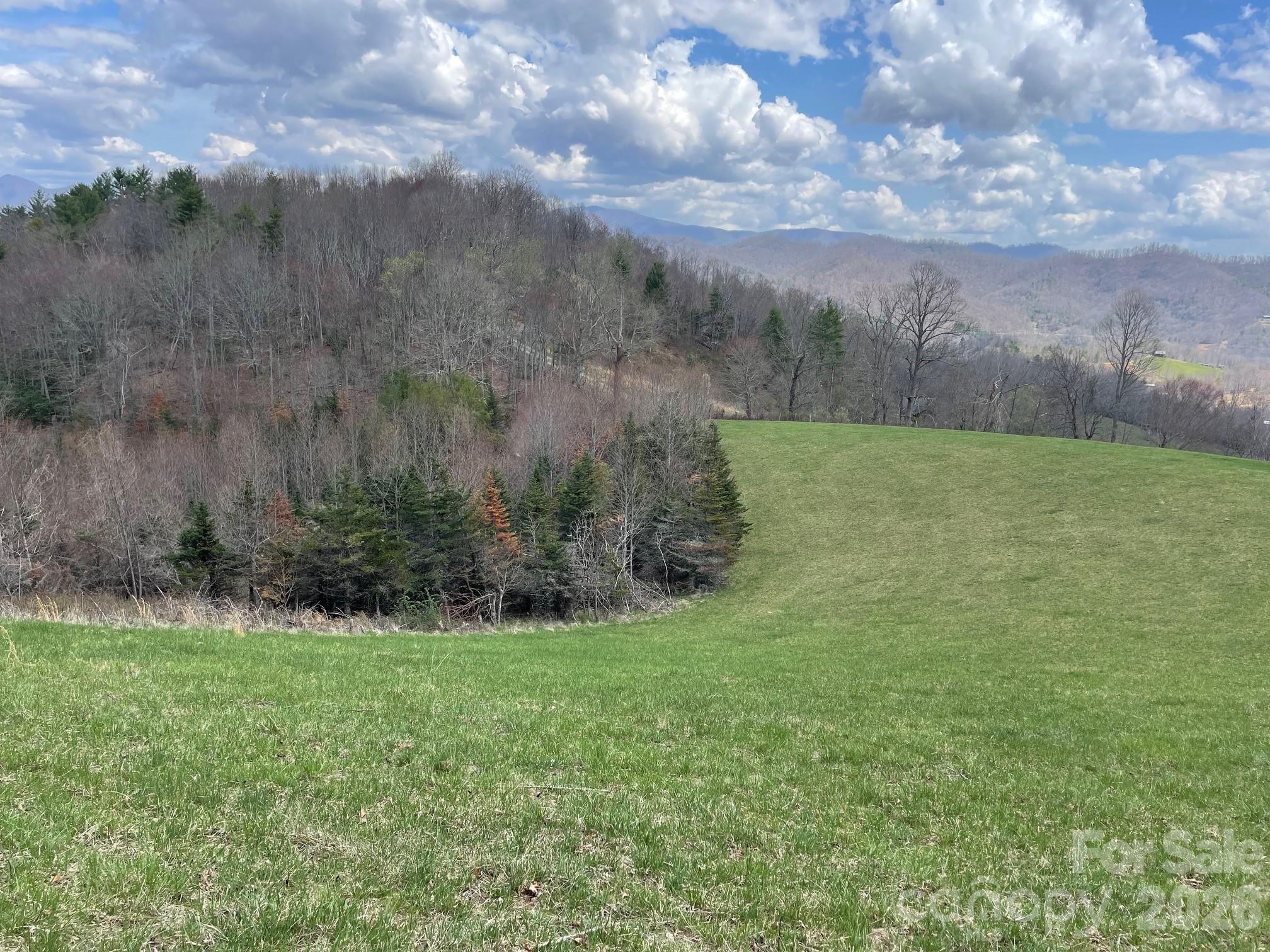 999 Chestnut Mountain Drive Green Mountain NC 28740