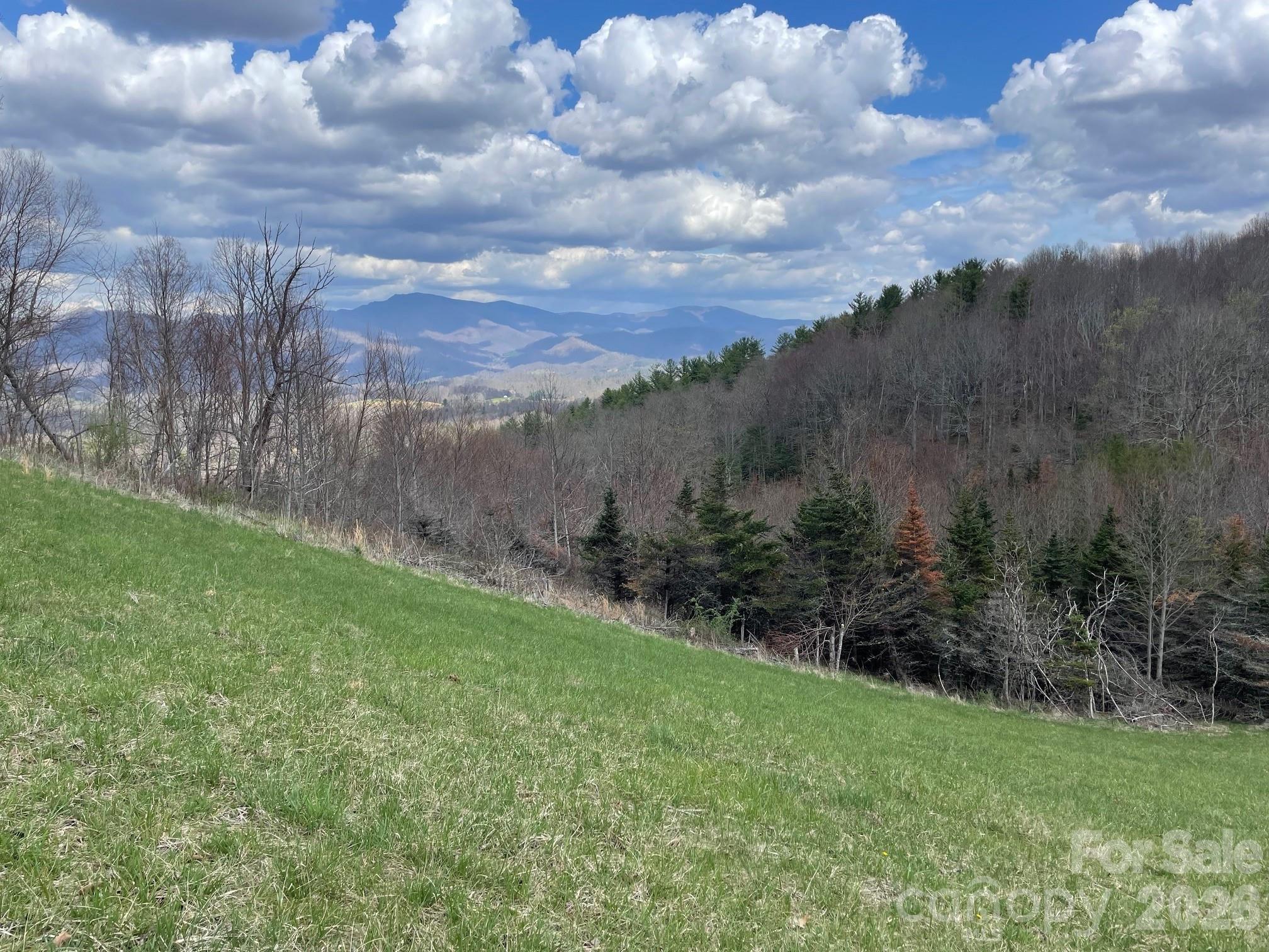 999 Chestnut Mountain Drive Green Mountain NC 28740