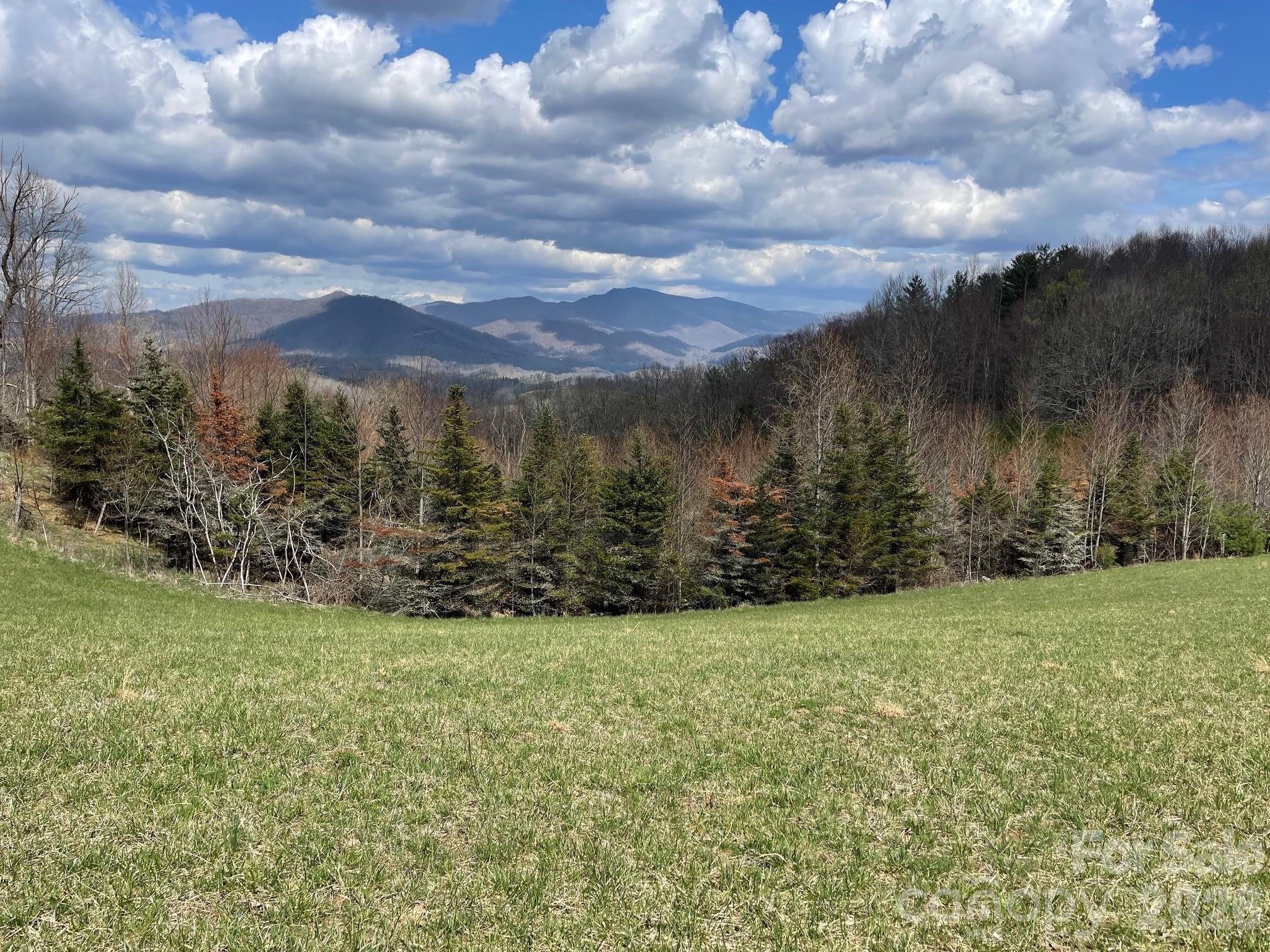 999 Chestnut Mountain Drive Green Mountain NC 28740