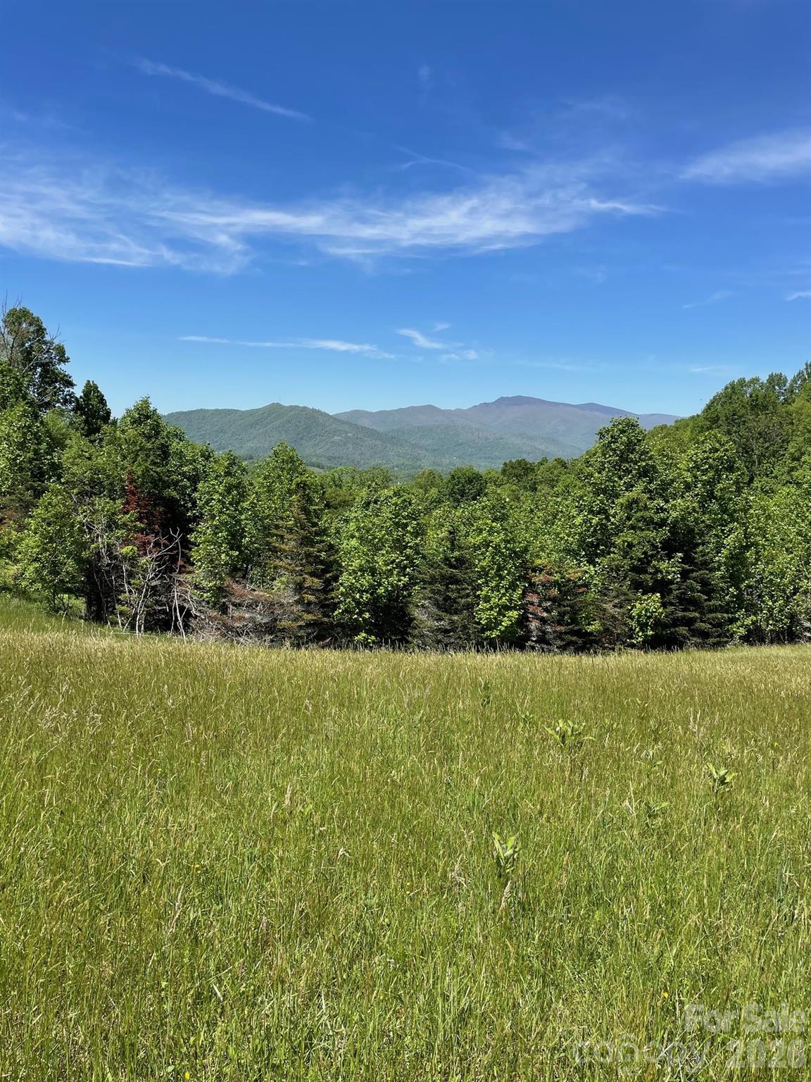 999 Chestnut Mountain Drive Green Mountain NC 28740