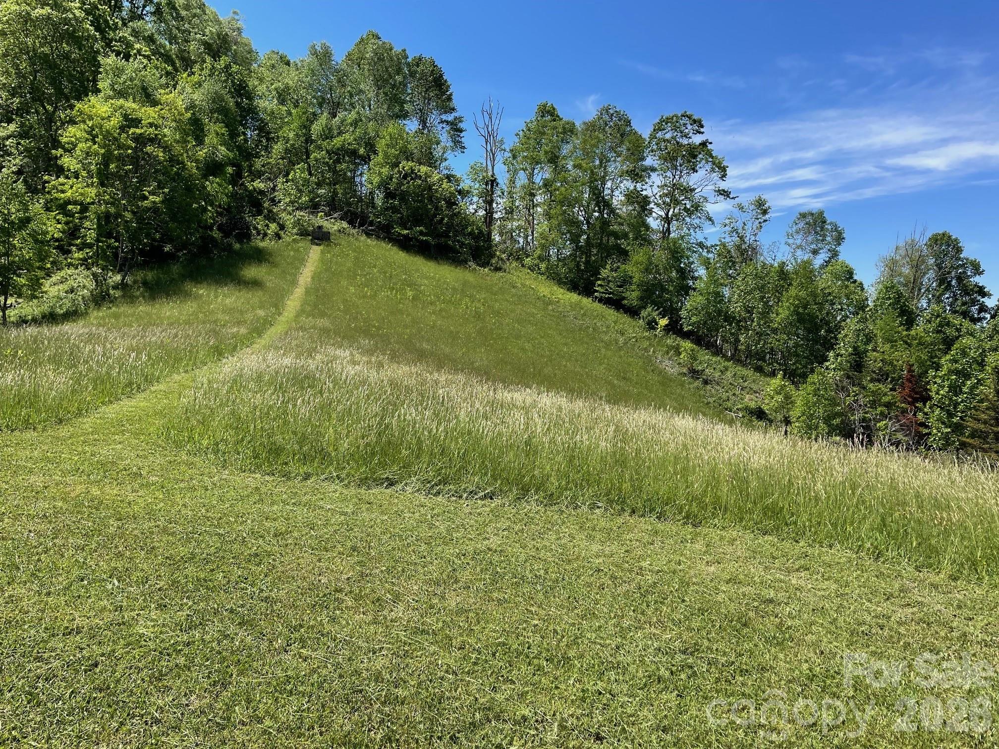999 Chestnut Mountain Drive Green Mountain NC 28740
