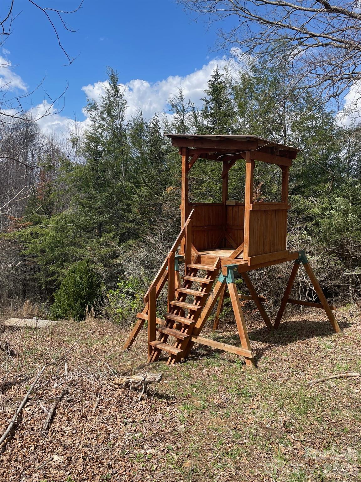 999 Chestnut Mountain Drive Green Mountain NC 28740