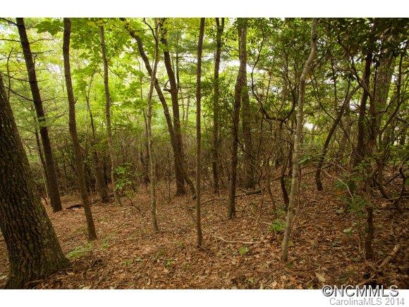 Lot 22 Windsong Drive Fairview NC 28730