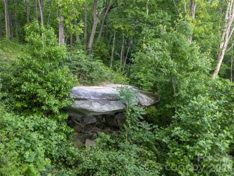 000 New Sprout Lane Hendersonville NC 28792