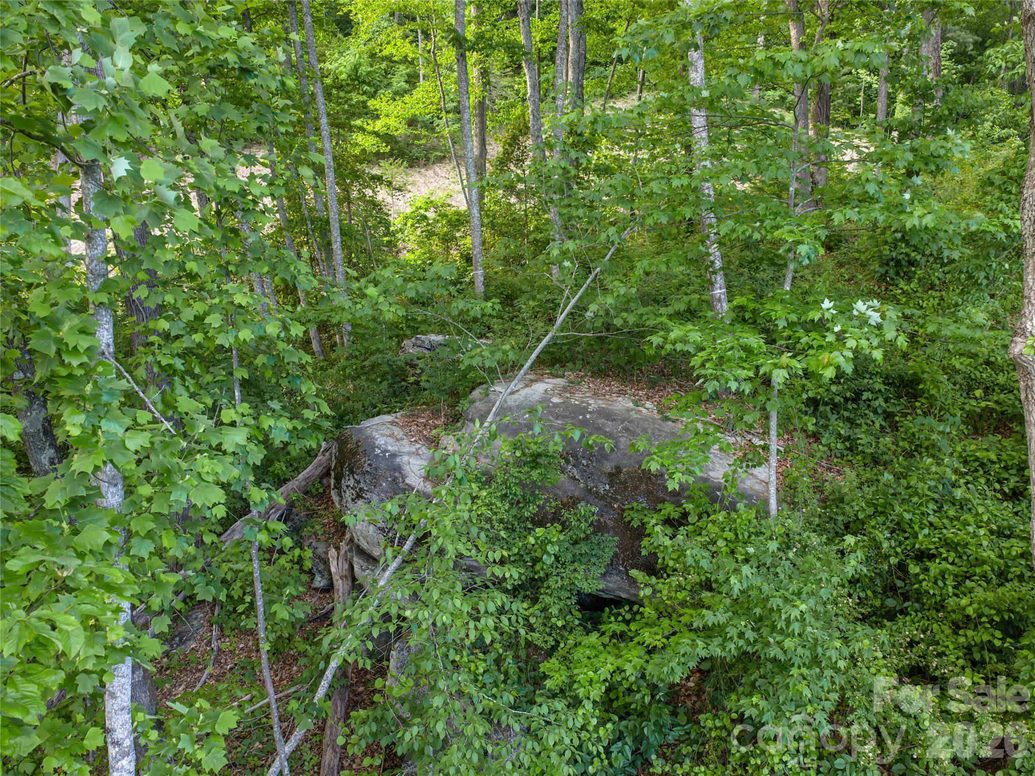 000 New Sprout Lane Hendersonville NC 28792