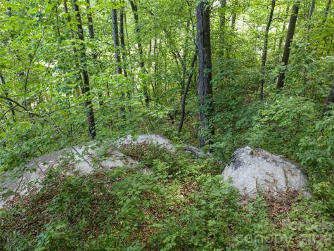 000 New Sprout Lane Hendersonville NC 28792
