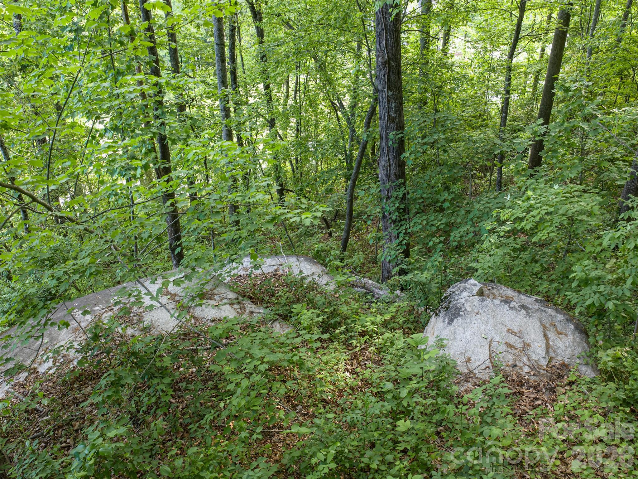 000 New Sprout Lane Hendersonville NC 28792