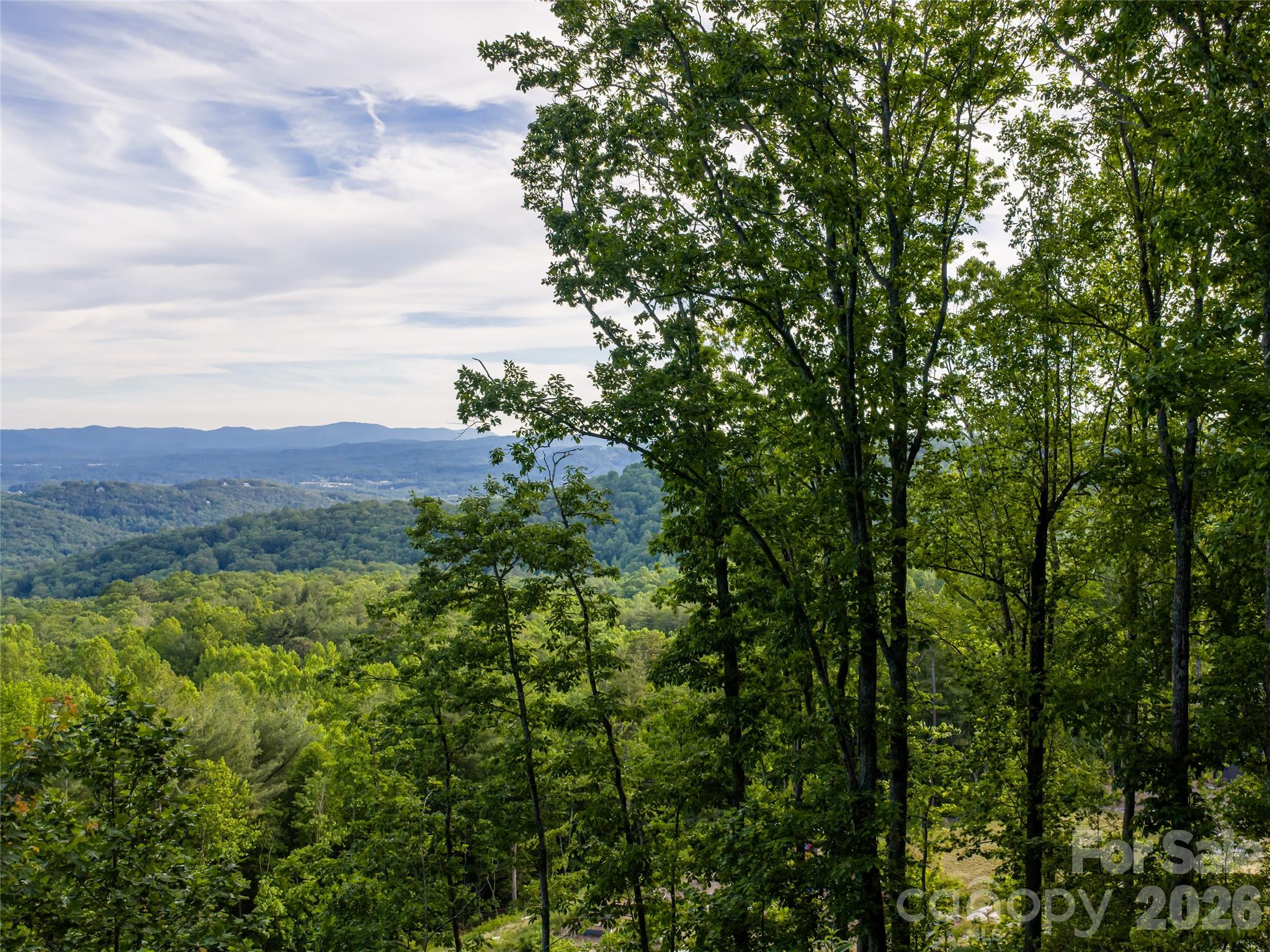 000 New Sprout Lane Hendersonville NC 28792