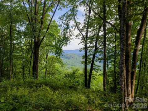 000 New Sprout Lane Hendersonville NC 28792