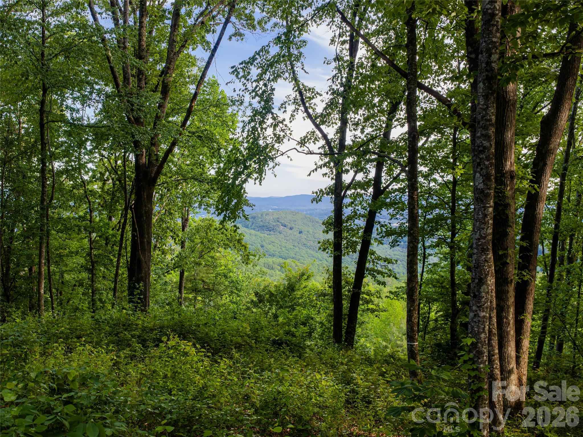 000 New Sprout Lane Hendersonville NC 28792