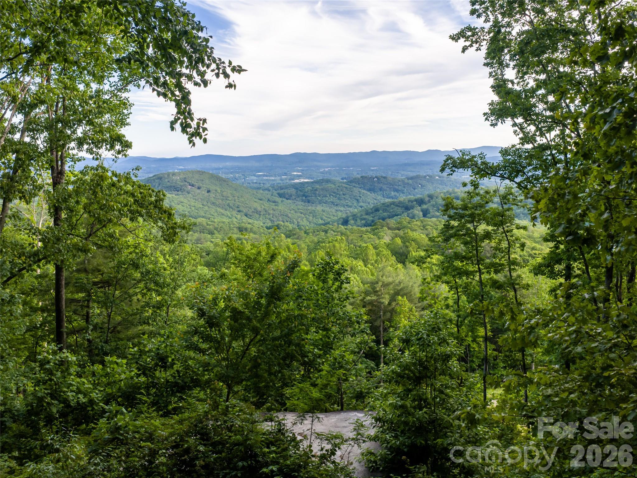 000 New Sprout Lane Hendersonville NC 28792