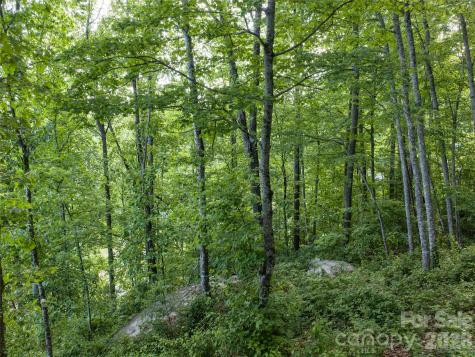 000 New Sprout Lane Hendersonville NC 28792