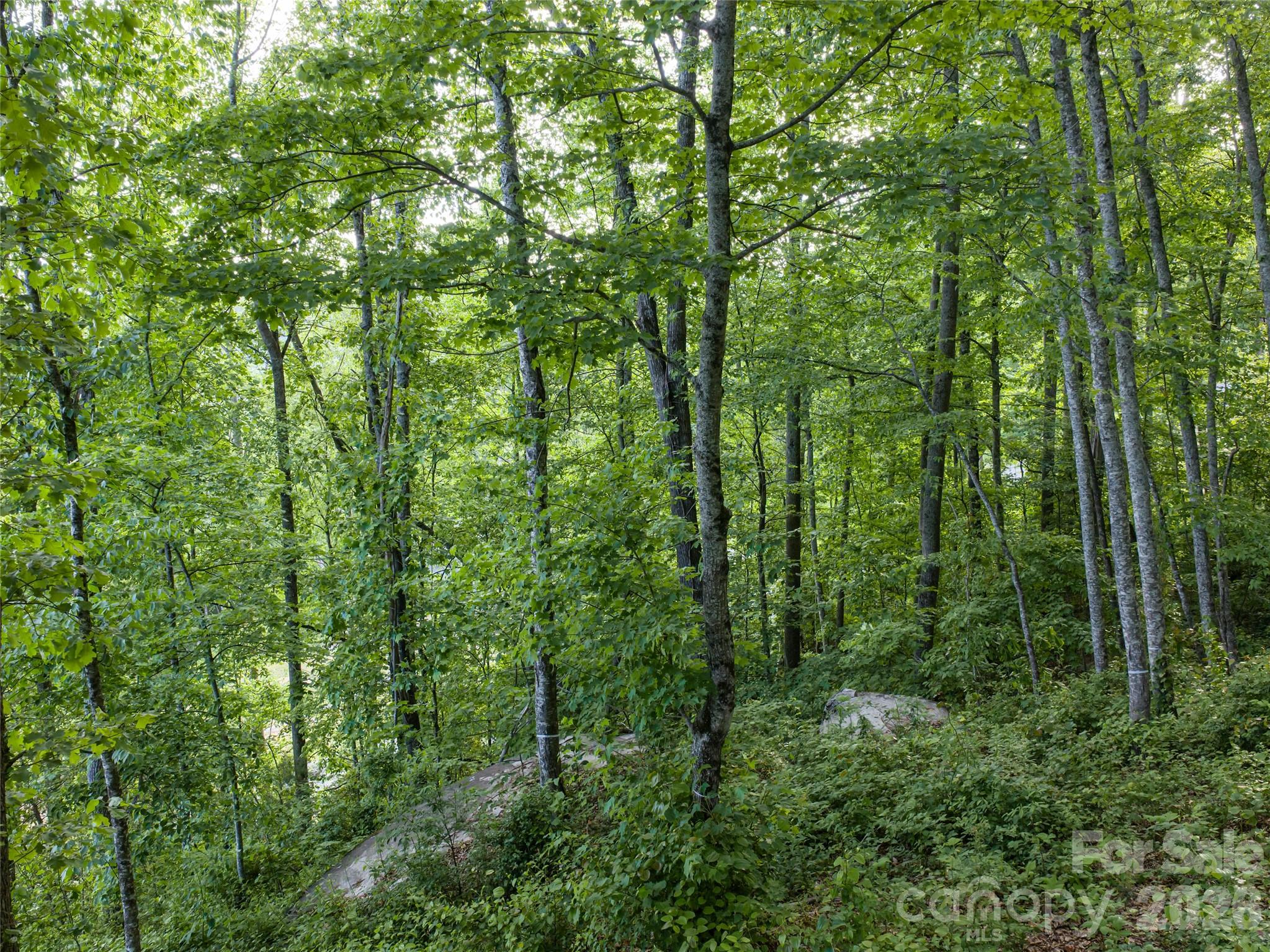 000 New Sprout Lane Hendersonville NC 28792