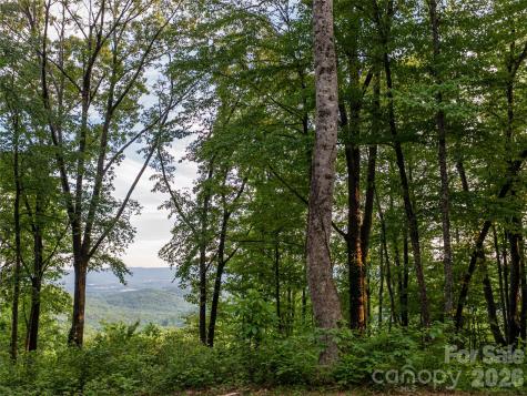 000 New Sprout Lane Hendersonville NC 28792