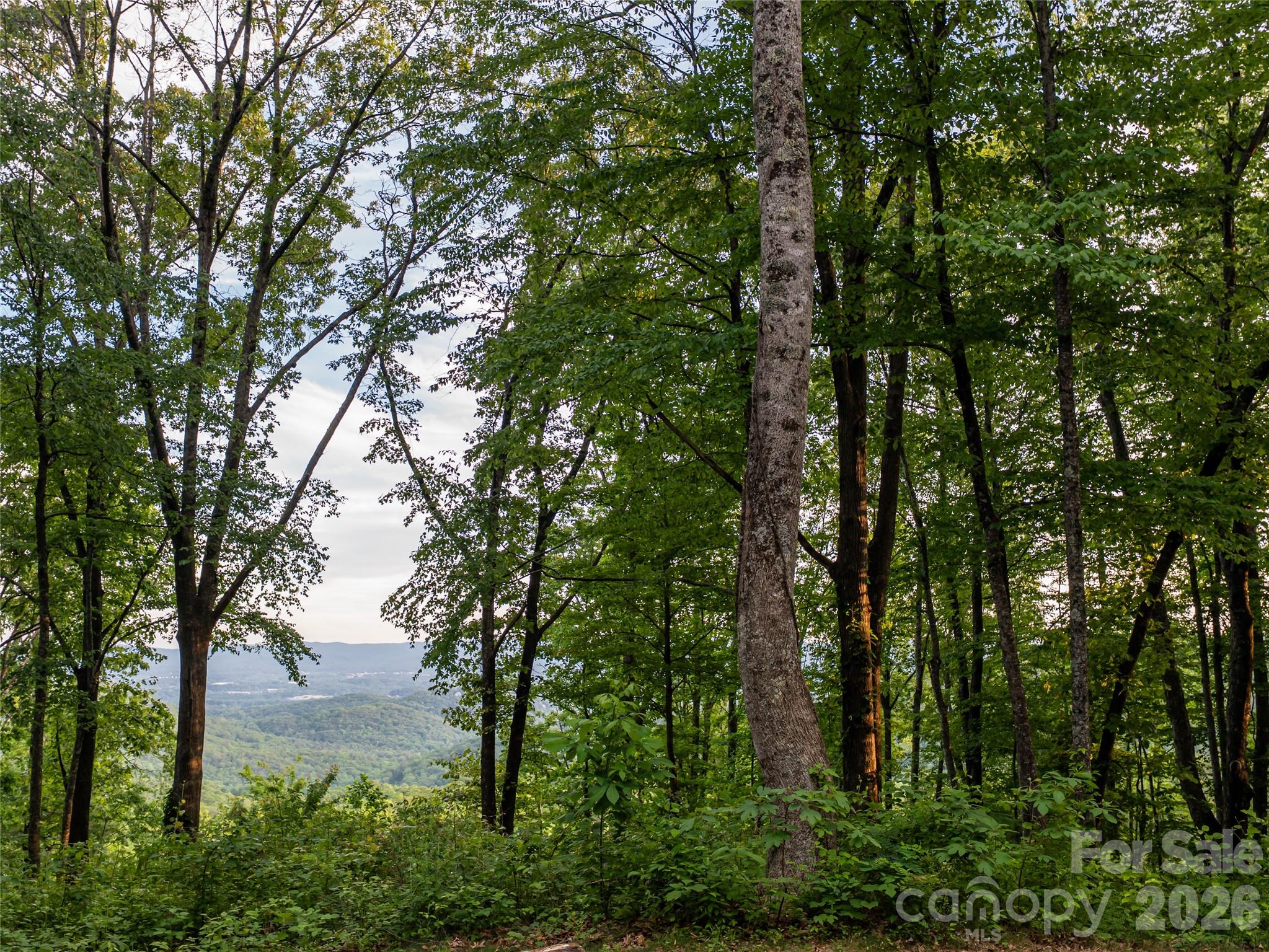 000 New Sprout Lane Hendersonville NC 28792