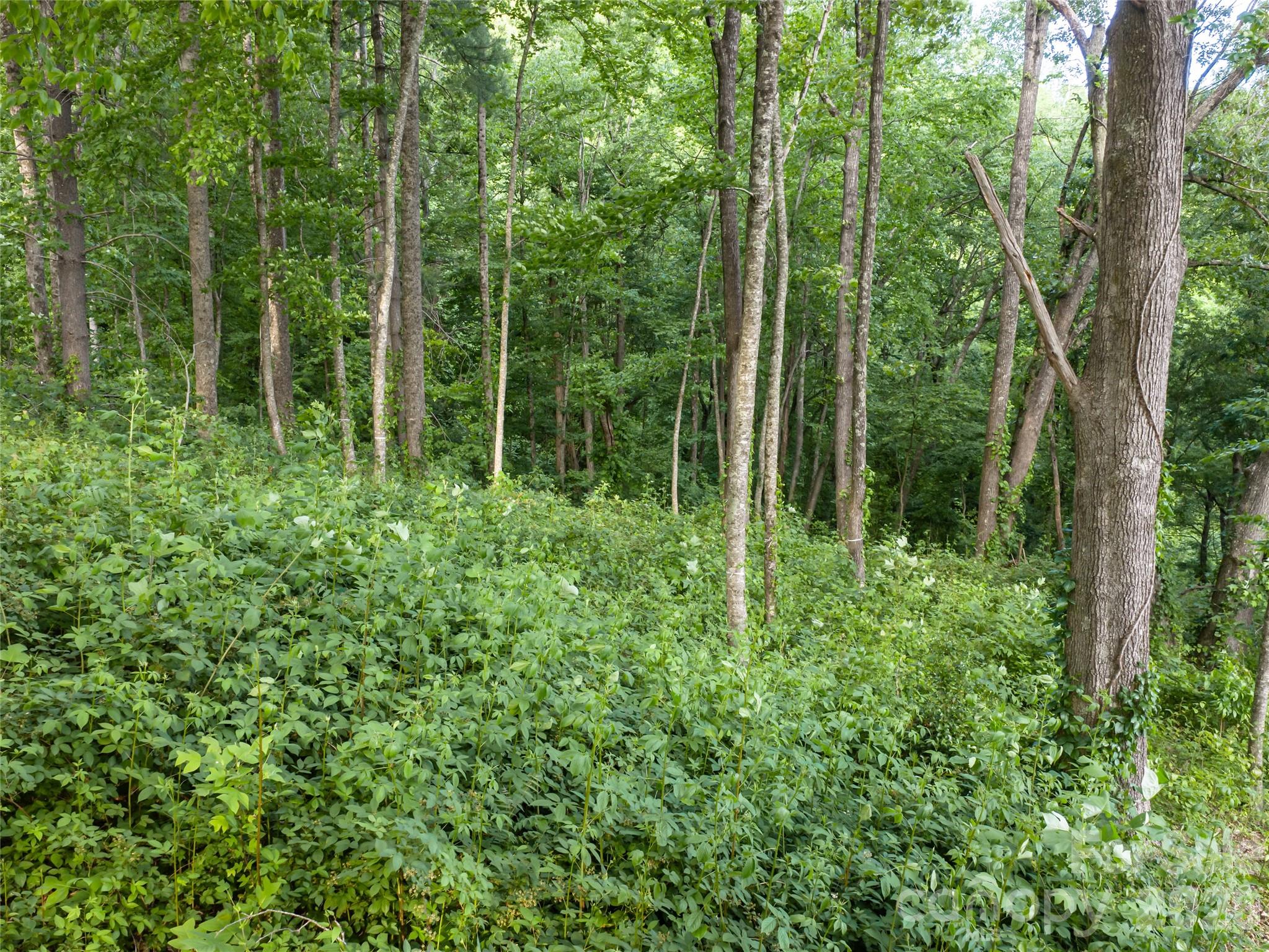 000 New Sprout Lane Hendersonville NC 28792