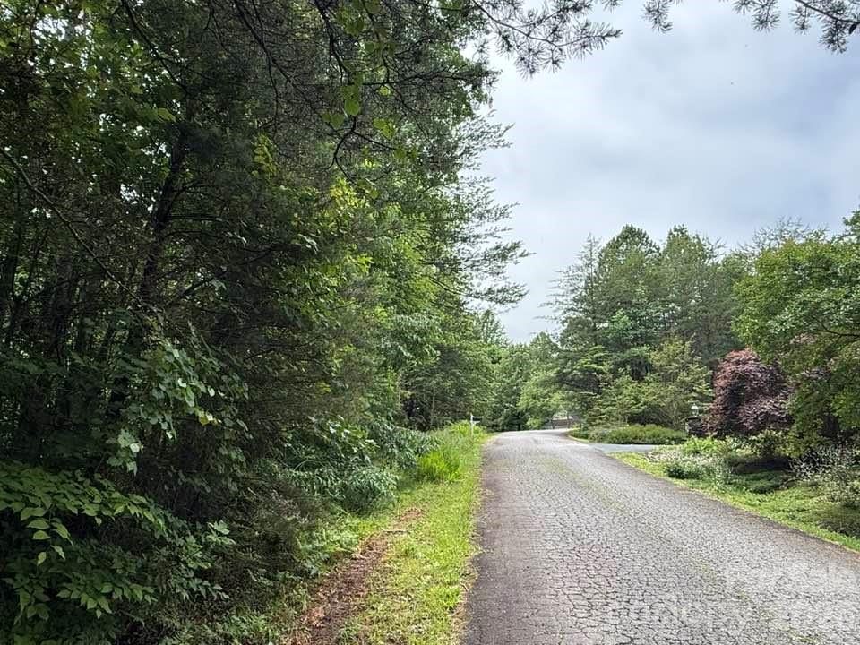0 Woody Circle Tryon NC 28782