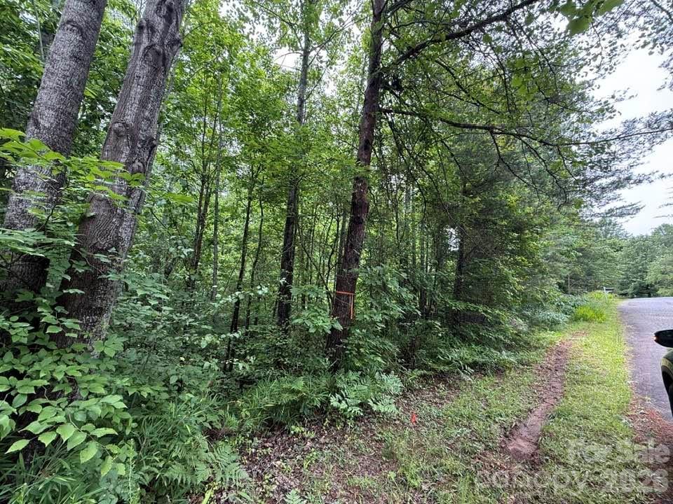 0 Woody Circle Tryon NC 28782