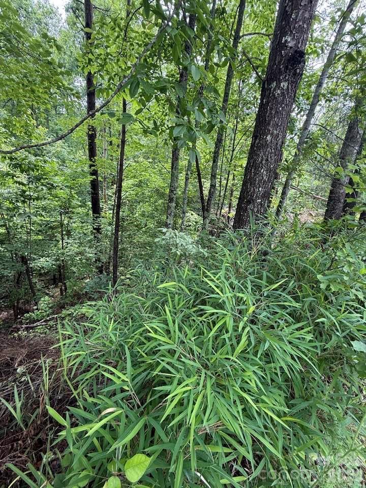 0 Woody Circle Tryon NC 28782