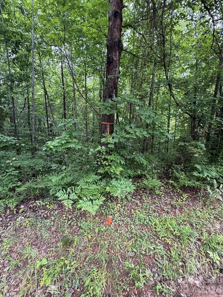 0 Woody Circle Tryon NC 28782