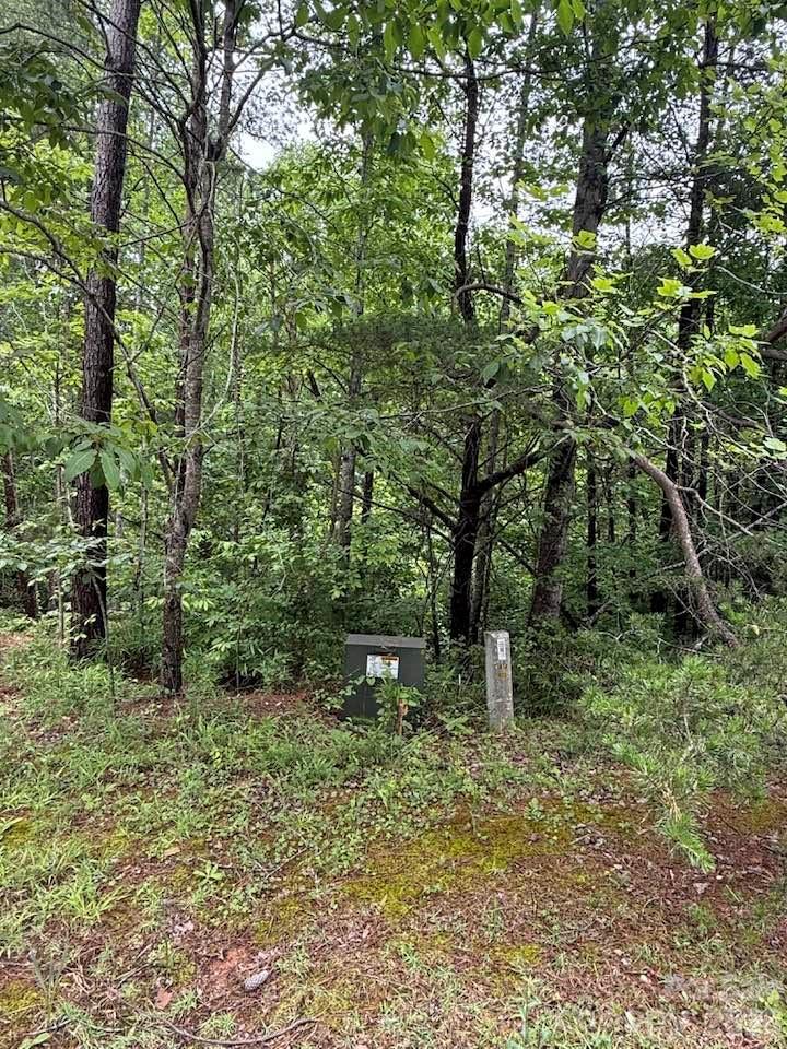 0 Woody Circle Tryon NC 28782