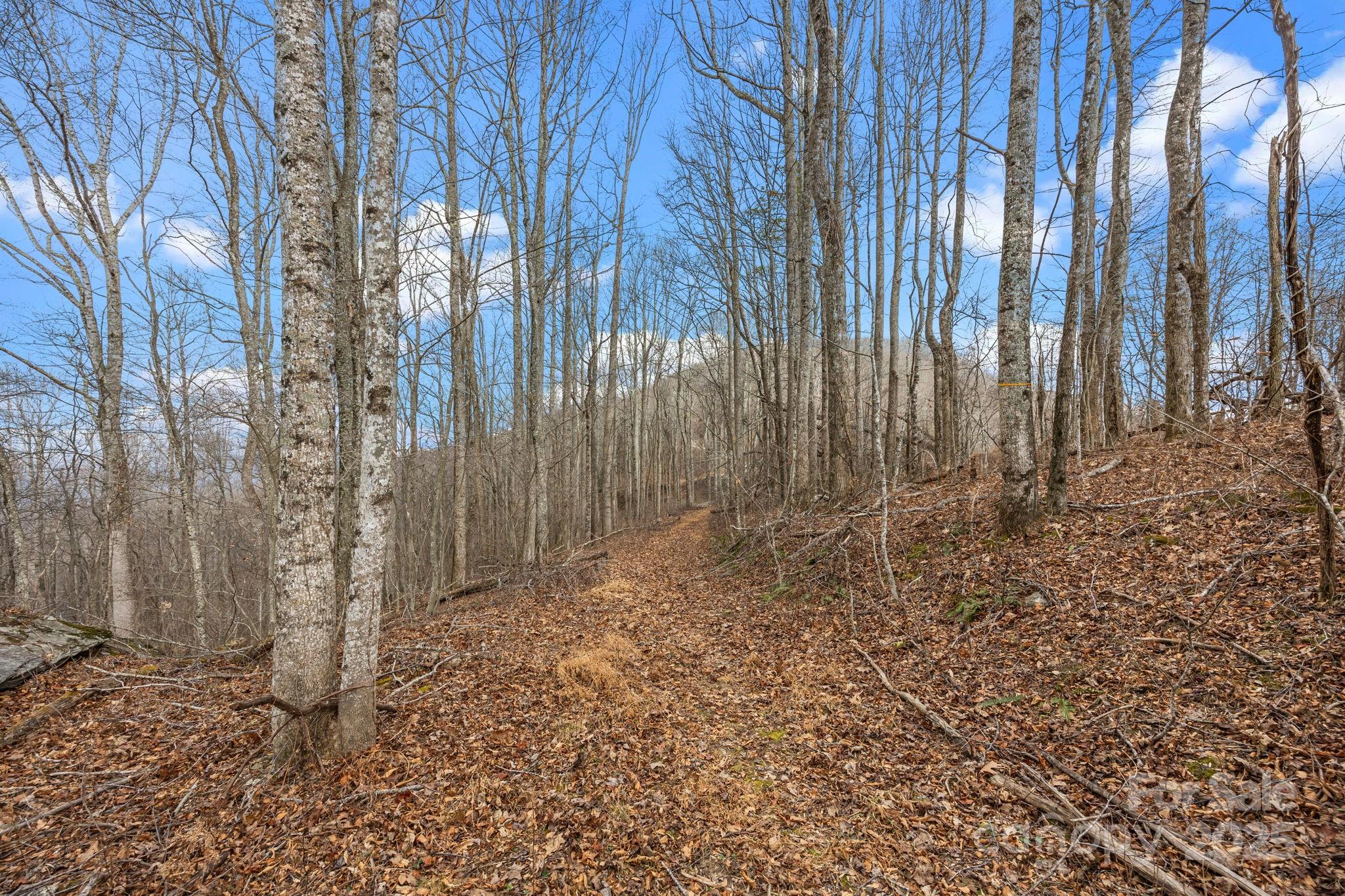 000 Christian Creek Road Swannanoa NC 28778