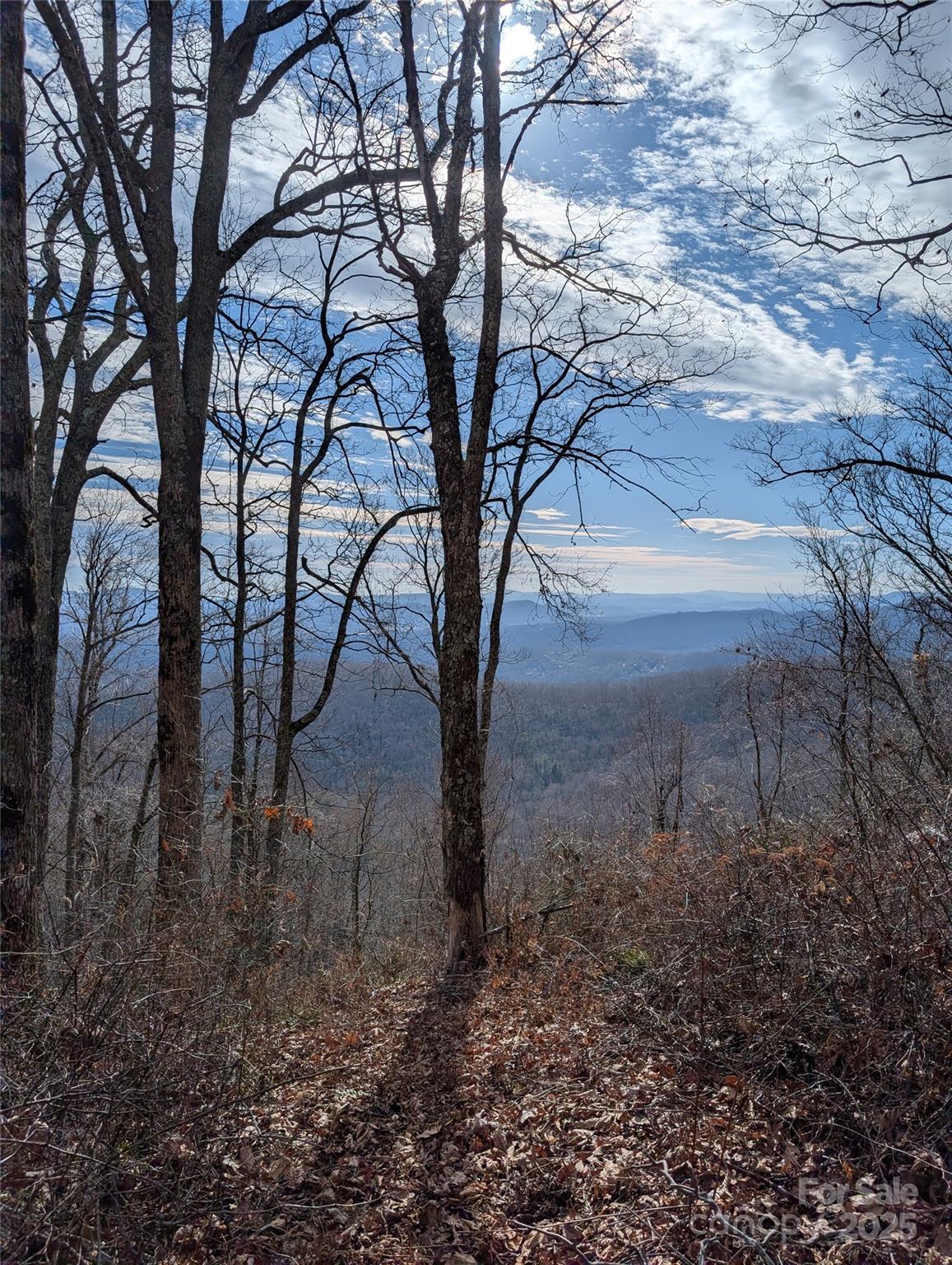 000 Christian Creek Road Swannanoa NC 28778