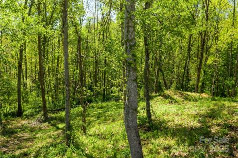 9999 Bee Balm Way Asheville NC 28804