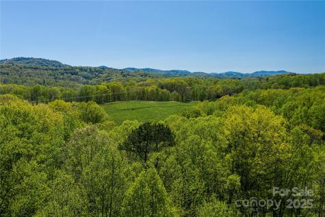9999 Bee Balm Way Asheville NC 28804
