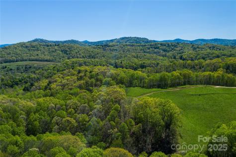 9999 Bee Balm Way Asheville NC 28804