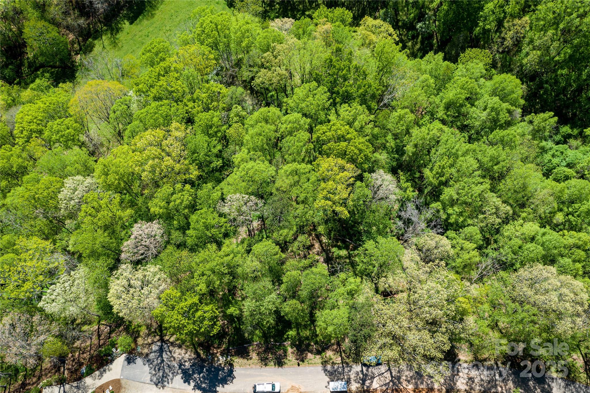 9999 Bee Balm Way Asheville NC 28804