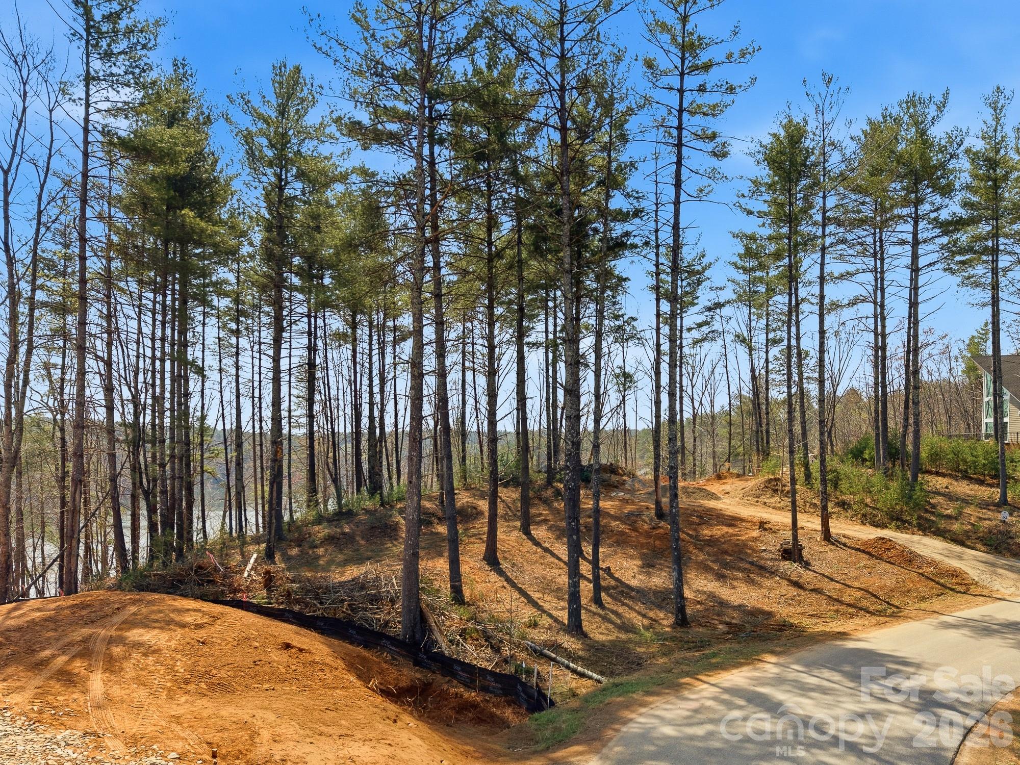 291 S Crest View Street Nebo NC 28761