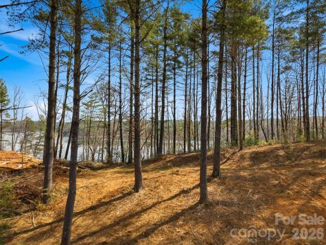 291 S Crest View Street Nebo NC 28761