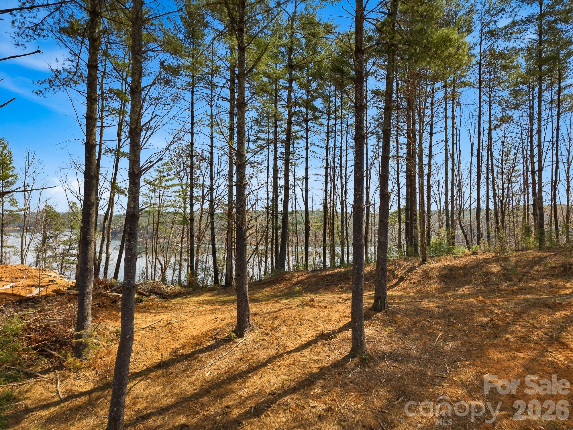 291 S Crest View Street Nebo NC 28761