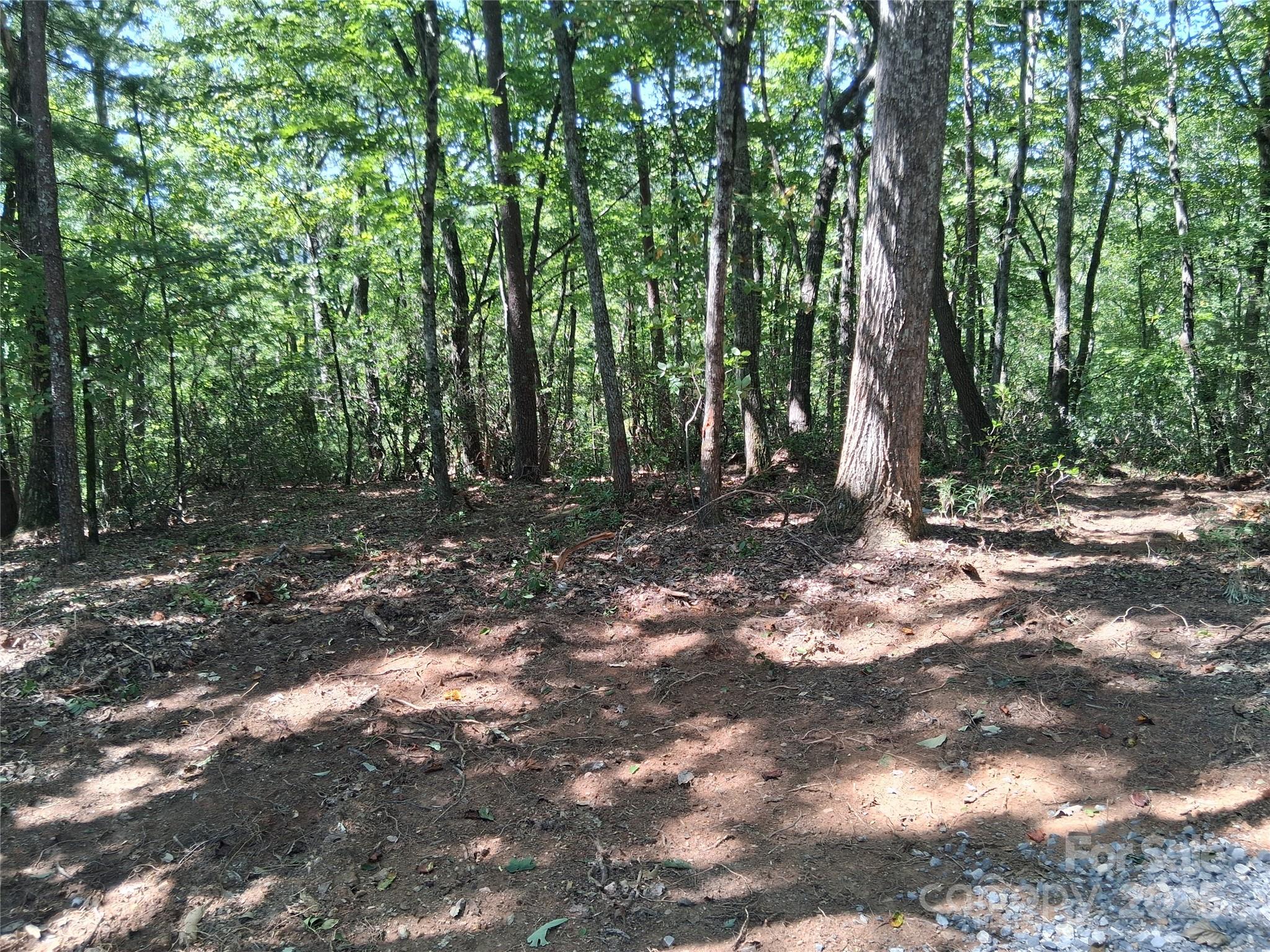 Tbd Misty Mountain Drive Nebo NC 28761