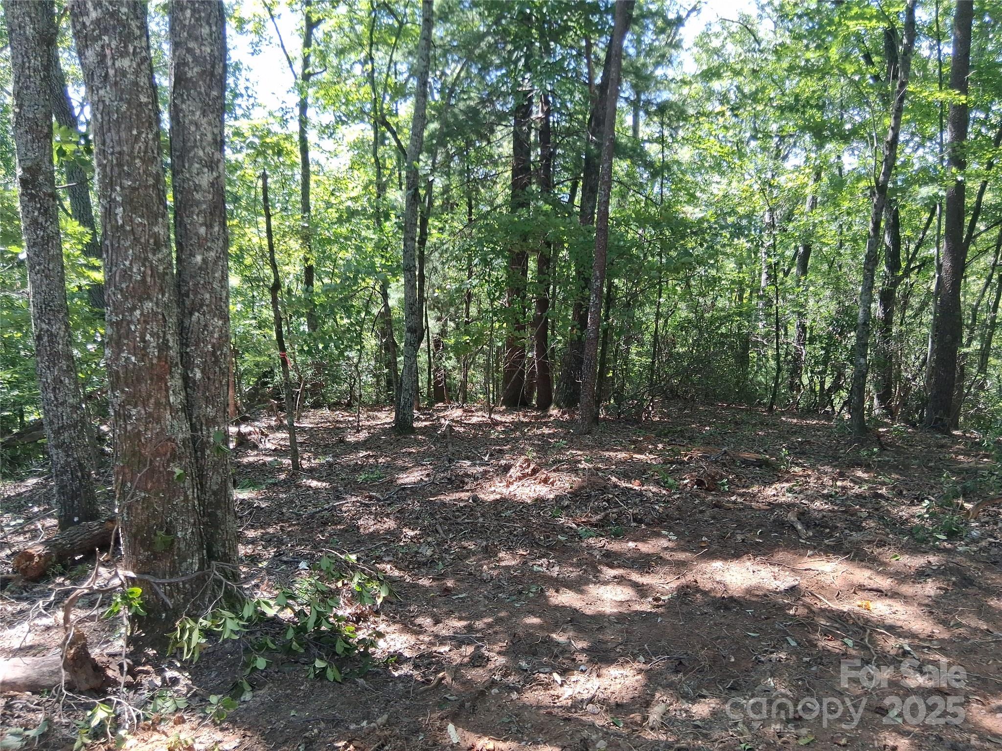Tbd Misty Mountain Drive Nebo NC 28761